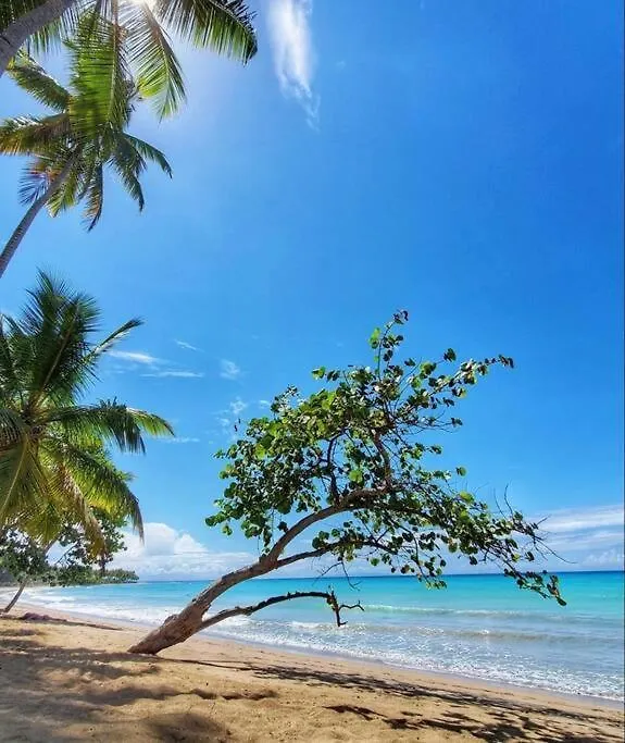 Holiday home Beachside Getaway! Las Terrenas Dominican Republic